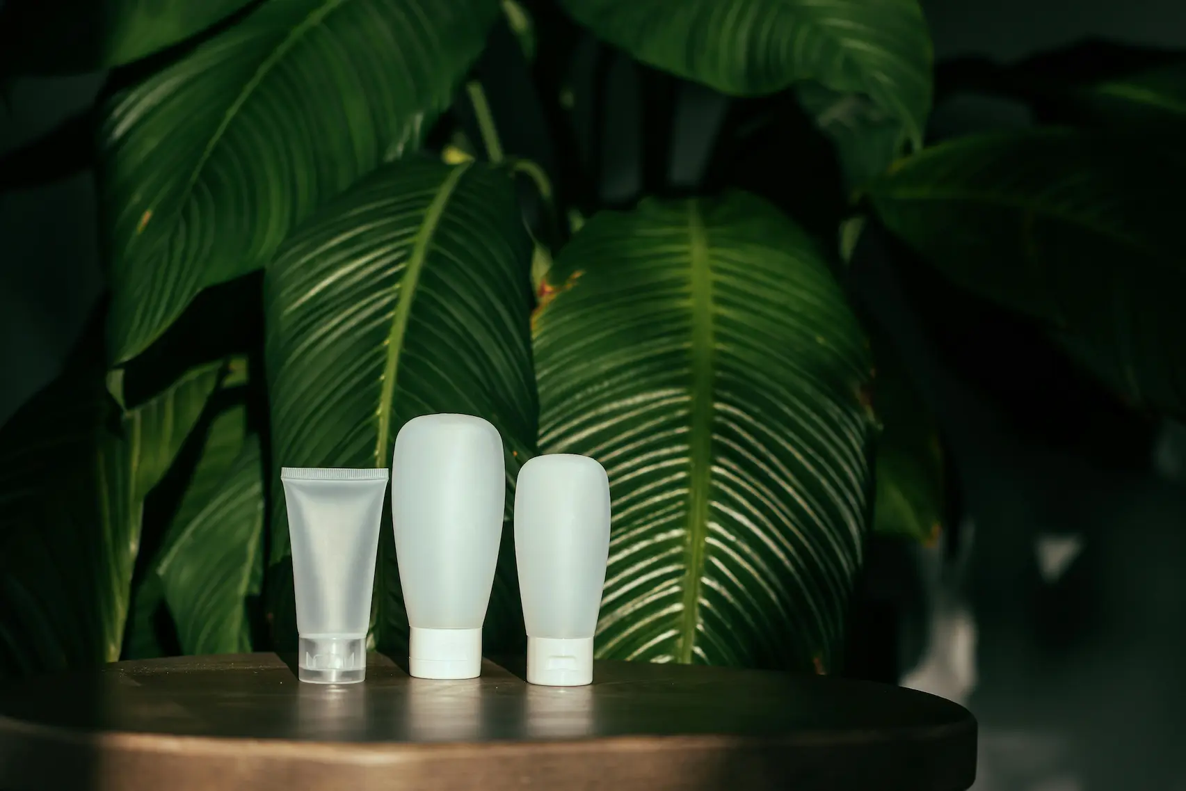 Skincare Flat Lay of organic skincare brands