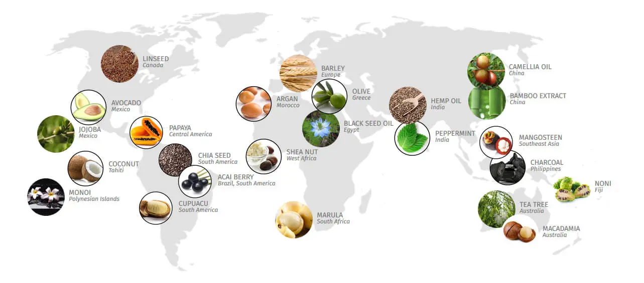 World map with icons marking Plant-based beauty secrets origins